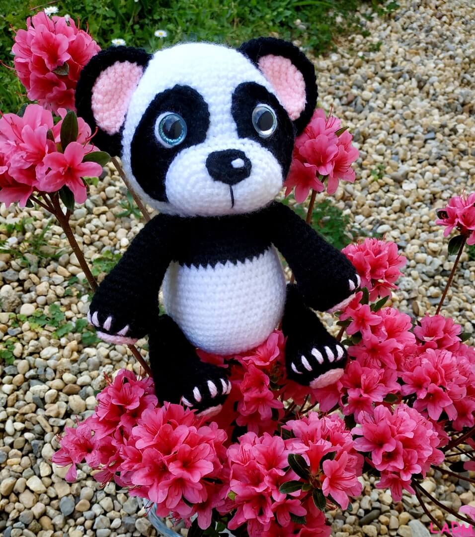 Bébé panda, image #1